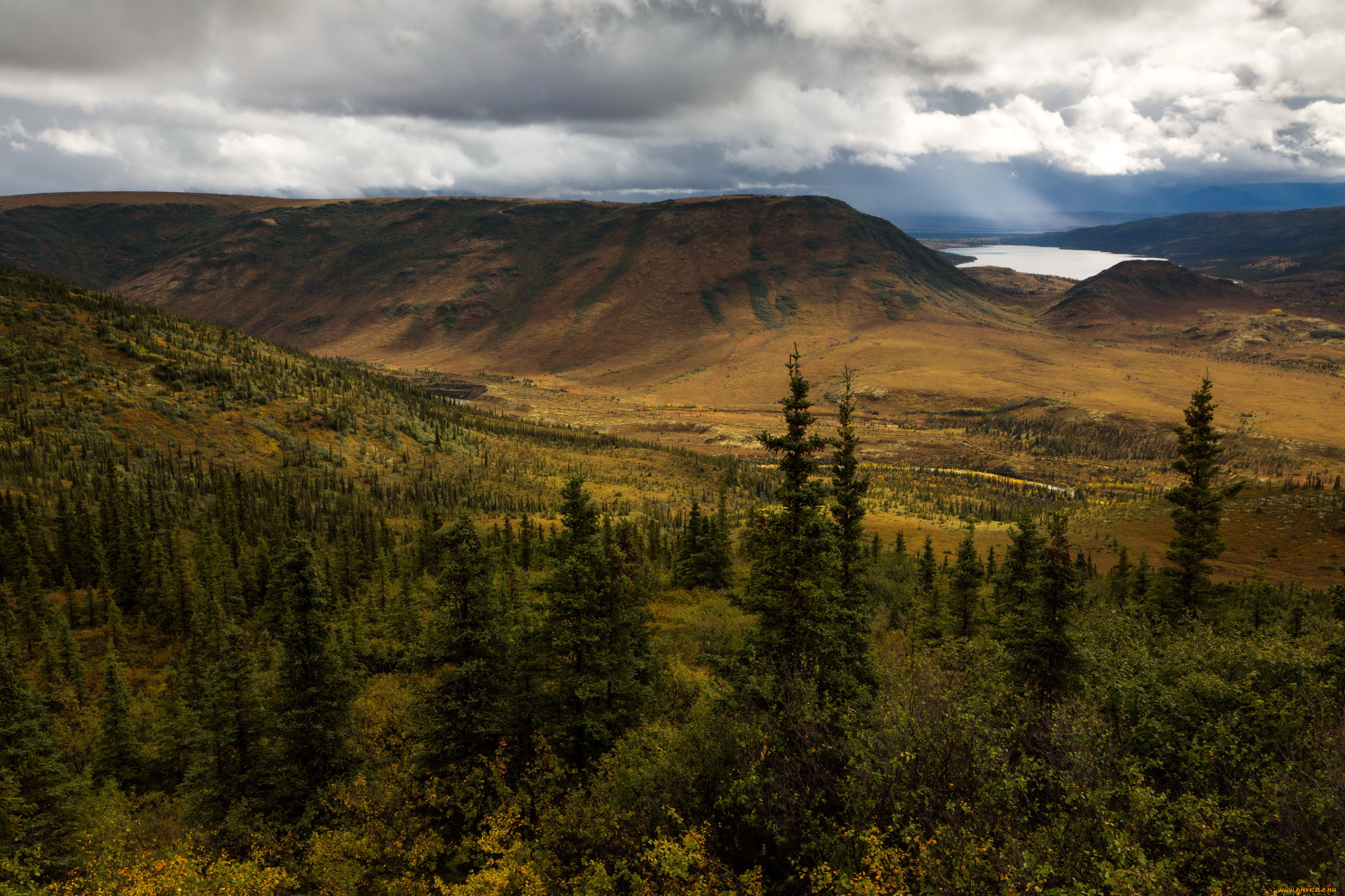 denali national park  , , , , park, , , denali, , , 